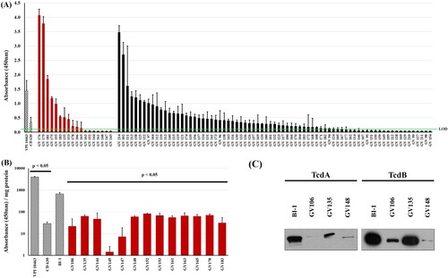 Figure 1. Clinical C. difficile strains display high variability in toxin production. (A) Clarified supernatants from 93 C. difficile strains were measured for toxin with a TcdA/B EIA kit, normalized to volume. There is high variability in toxin abundance, even among RT027 strains (red bars; black bars include all other ribotypes). The high-toxin producer VPI 10463 (at 1:100 dilution) and low-toxin producer CD630 are included for comparison (hashed bars). Thirty strains registered readings below the limit of detection (LOD, green line = OD450 < 0.12). (B) Toxin per mg of supernatant from 13 RT027 strains previously shown in (A) had nearly 10-fold lower TcdA/B amounts relative to the comparator RT027 strain BI-1. Additionally, BI-1 produced significantly more toxin than CD630 and significantly less than VPI 10463. (p < .05; two sample, two-tailed t-test). (C) Immunoblots of supernatants (30 μg/lane) from these strains confirmed lower abundance of TcdA and TcdB in supernatants of three representative LT-027 strains relative to BI-1.
