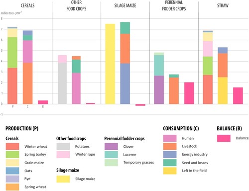 Figure 1. Agricultural biomass production, consumption and balance in Czechia (net mass). Source: authors’ calculations according to the optimal model utilization of arable land.