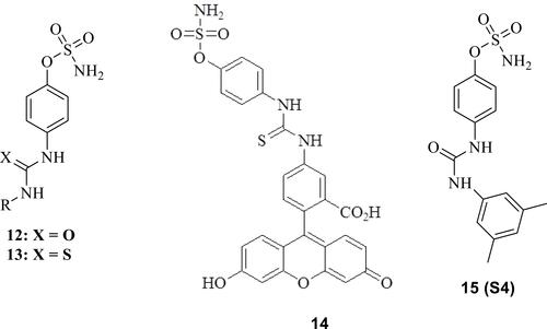 Figure 4 Sulfamates incorporating ureido (compounds 12, 14 and 15) and thioureido (13) moieties, with effective CA IX/XII inhibitory action and investigated for their antitumor effects. S4 was the most extensively investigated such derivative.Citation80