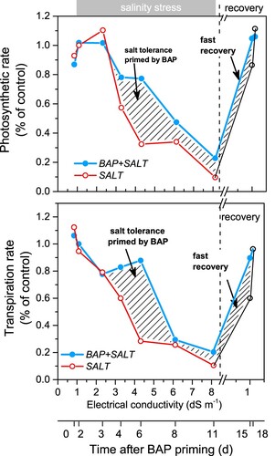 Figure 9. Values (relative to that of control) of photosynthetic rate (upper panel) and transpiration rate (lower panel) in vines under salt stress primed with the cytokinin (•, [BAP + SALT]) and un-primed (o, [SALT]) plotted against soil electrical conductivity during the salt-stress and recovery periods. The horizontal gray filled band indicates the salt stress period and vertical dashed line the beginning of recovery.