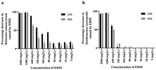 Figure 1. Effect of 24 h and 48 h treatment of E. hirta methanol extract on Ralstonia solanacearum (RS) and Xanthomonas axonopodis pv vesicatoria (Xav) sequential extraction of E. hirta yielded, hexane, dichloromethane (DCM), ethyl acetate, and methanol extracts. Among them the methanol extract was tested for its effect on the growth of (a) RS and (b) Xav.