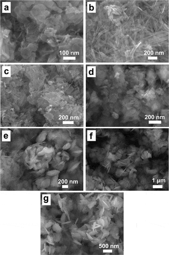 Figure 1. Characterization of copper pesticide NPs. SEM images of Cu(OH)2 NPs (a), Cu(OH)2 NWs (b), CuO NPs (c), rha-coated Cu(OH)2 NPs (d), gel-coated Cu(OH)2 NPs (e), CMS-coated Cu(OH)2 NPs (f), and PEG-coated Cu(OH)2 NPs (g), respectively.