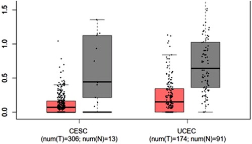 Figure 6. Gene expression analysis of TLR9. Figure showing detailed Box plot analysis diagram of the TLR9 gene expression in the case of cervical squamous cell carcinoma (CESC) and uterine corpus endometrial carcinoma (UCEC) for both tumor (red color box) and normal (dark grey color box) samples. The analysis showed that UCEC shows the overexpression of the TLR9 gene, whereas underexpression of the gene is observed in CESC.