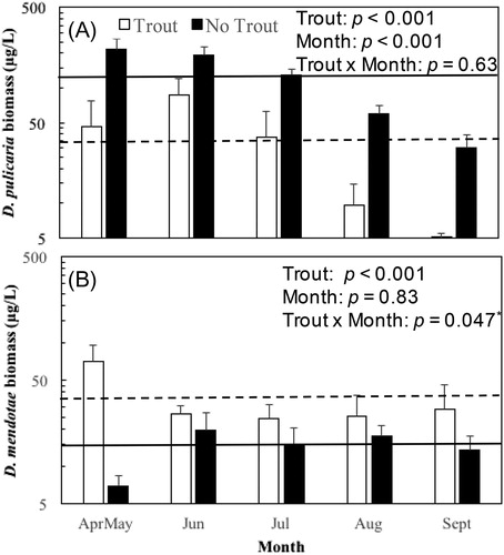 Figure 1. Mean biomass concentrations (± se) by month for (A) Daphnia pulicaria and (B) D. mendotae in whole water column samples for years when trout were stocked (white bars) and moratorium years when trout were not stocked (black bars). Horizontal lines (dashed for trout years, solid for moratorium years) are grand means across all month periods. Two-factor ANOVA p values for main effects (trout, month) and the interaction between trout and month on log10 biomass are included in each panel (asterisk for the D. mendotae trout × month p value indicates that that p value did not meet the statistical significance threshold after application of the Bonferoni correction). Data are plotted on logarithmic scale.