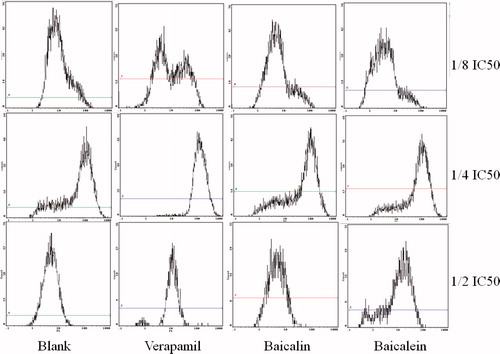 Figure 3. Intracellular accumulation of RH-123 (A) and FC (B) exposed to the tested drugs. Each data value was expressed as a percentage of the control, and was presented as the mean ± SD (n=3) (*p < 0.01).