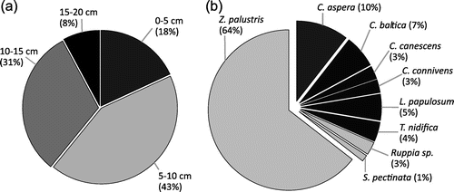 Figure 6. Germination success: (a) The percentage of emerged seedlings from the analysed sediment layers. (b) The percentage of seedling abundance for the germinated taxa.