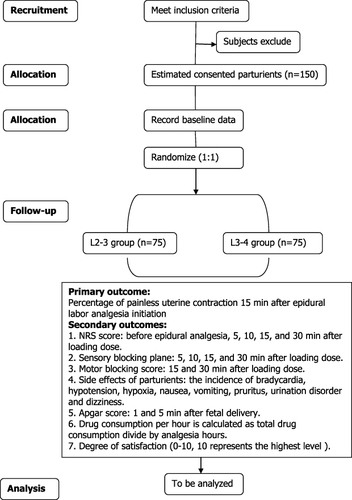 Figure 1 Flowchart of this study.