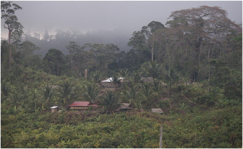 Figure 2. Environmental Learning Center, Maracunan, Southern Palawan.