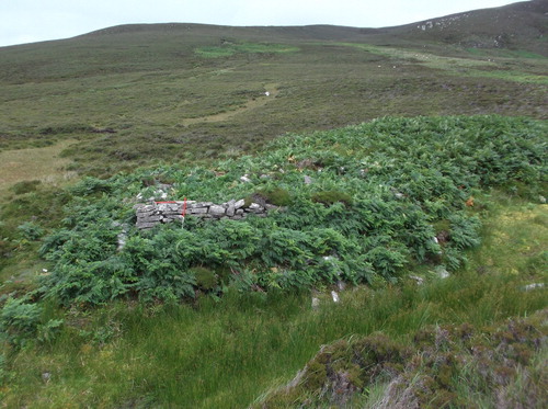 Fig 3 NW-facing view of abandoned post-medieval booley site in Mín na Saileach (Co Donegal, Ireland), with heavy colonisation by bracken. Photograph by author.