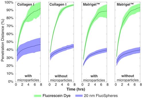 Figure 5 Timescale data for all conditions, showing green dye reaching end of channel at ~4–5 h, and blue 20 nm particles not exceeding ~50% over entire 8 h experiment. Total timepoints = 16, total chamber length after removing data is 7.5 mm.