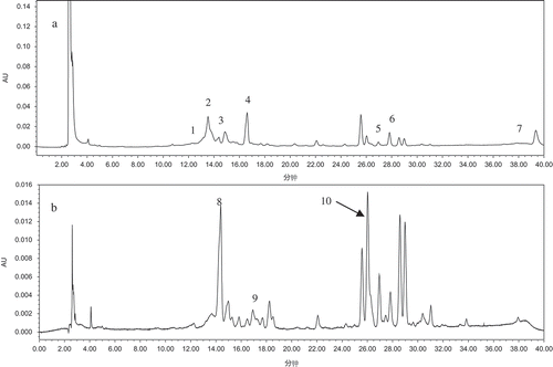 FIGURE 3 Chromatograms of Honggailu at A: 280 nm and B: 320 nm. Peaks: (1) protocatechic acid, (2) catechin, (3) anthocyaninB2, (4) epicatechin, (5) phlorizin, (6) ellagic acid, (7) quercitin, (8) chlorogenic acid, (9) caffeic acid, (10) hyperoside.