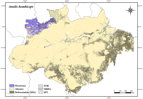 Figure 4. Occurrence area and records of Anolis bombiceps in the Brazilian Amazonia, showing the overlap with protected and deforested areas.