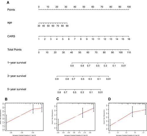 Figure 5 A nomogram consisting of independent clinical features for predicting 1-, 3-, and 5-year OS of ccRCC. (A) Construction of a predictive nomogram; (B–D) calibration curves revealed that actual and predicted survival matched very well in terms of 1-year, 3-year and 5-year OS of ccRCC.