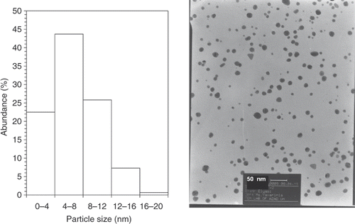 Figure 3. TEMs recorded from a small region of a drop-coated film of gold colloid prepared using methanol extracts of E. camaldulensis and reserved at 4°C (right picture) for 8 weeks (scale bars correspond to 50 nm). The related particle size distribution histograms (left picture) obtained after 350 individual particles were counted.