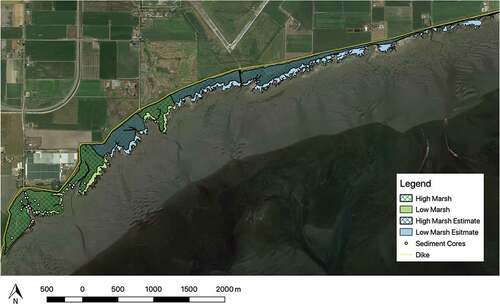 Figure 4. High marsh and low marsh area in the western portion of Boundary Bay, Delta, British Columbia. High marsh (103 ha) is represented by the cross hatch fill and low marsh (37 ha) is represented by the solid fill. The green color represents area determined by variations in vegetation color using google satellite base map imagery, vegetation surveys at 176 sample points and field notes. The blue color represents area determined by variations in vegetation color using google satellite base map imagery only. Base map: Google Maps 2018