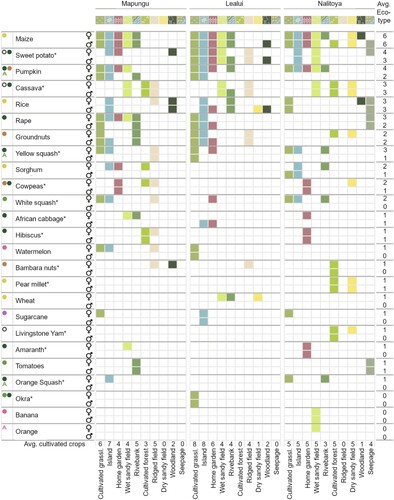 Figure 6. Crops planted across the ten cultivated eco-types during the sex-specific (women-♀; men-♂) focus groups characterizing each cultivated eco-type. Food groups includes dark green leafy vegetables (Display full size), legumes, nuts, seeds (Display full size), vitamin A-rich vegetables and tubers (Display full size), other vegetables (Display full size), white roots and tubers (Display full size),vitamin A-rich fruits (Display full size), sweets (Display full size), other fruits (Display full size); cereals (Display full size). * indicate neglected and underutilized species (NUS).