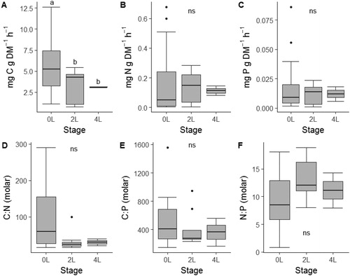 Figure 4. Mass-specific egestion rates (A–C) and stoichiometric ratios (D–F) across three developmental stage categories of free-ranging larval southern leopard frogs (Lithobates sphenocephalus) from geographically isolated wetlands in southwestern, Georgia, USA, from February to July 2016. Different letters indicate pair-wise differences in stages as indicated by Wilcoxon rank sum tests and the absence of letters indicates no significant differences among stages.