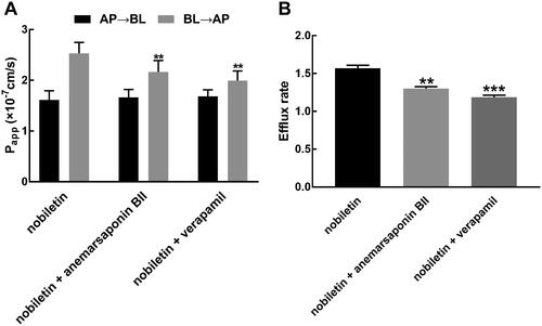 Figure 2. Effect of anemarsaponin BII on the transport of nobiletin. (A) Anemarsaponin BII and verapamil significantly suppressed the PappBA value of nobiletin. (B) Anemarsaponin BII and verapamil showed a significant inhibitory effect on the efflux rate of nobiletin. **p < 0.01, ***p < 0.001 relative to the nobiletin alone group.