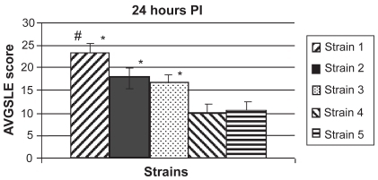 Figure 2 Average SLE scores at 24 hours PI. All strains producing high hemolytic activity in vitro (strains 1, 2, and 3) caused significantly higher SLE scores in vivo than the low activity strains (strains 4 and 5; P < 0.05). There was no significant difference in SLE scores between the two low activity strains (P = 0.8342). There were no significant differences in SLE scores between the three high activity strains (P > 0.05), except for strain 1 compared to strain 3 (P = 0.0352). Error bars denote standard errors of the means.Abbrevations: PI, post infection; SLE, slit lamp examination.