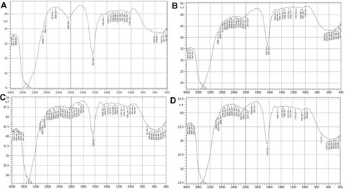 Figure 5 Fourier transform-infra red analysis of SeNPs. SeNP were extracted from commercial broth and BPE and analyzed for stretching vibrations. The spectrum showed the same stretching vibrations at wavelength of runs with different standardizing conditions using BPE. (A) Nanoparticles synthesized using LB, (B) Np synthesized using BPE at pH 6.5, and (C) pH 9 and (D) pH 11.5.