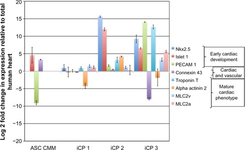 Figure 4 Quantitative RT-PCR analysis of the expression level of cardiac-specific genes relative to human heart RNA in three independent iCP lines derived from ASCs.