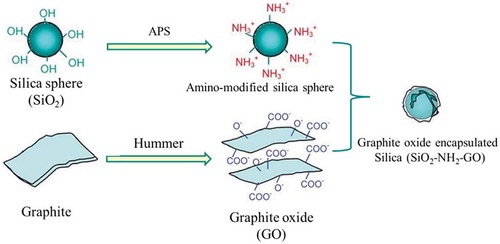 Figure 1. The schematic illustration of the fabrication of SiO2–APS–GO hybrids.