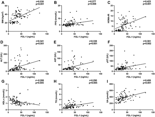 Figure 3 Correlation between FGL-1 levels and metabolic factors at baseline. FGL-1 levels were positively associated with BMI (A), FPG (B), HOMA-IR (C), ALT (D), AST (E), γGT (F), TG (H) and UA (I); It was also negatively correlated with HDL-c (G).