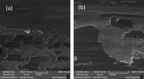 Figure 6. Worn surfaces of (a) MD and (b) MF multilayer coatings at high magnification.
