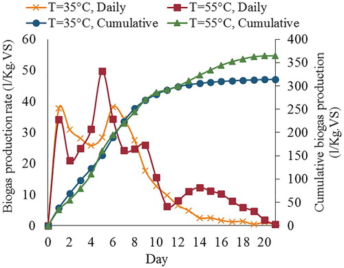 Figure 3. Cumulative and daily production of biogas at 35°C and 55°C.