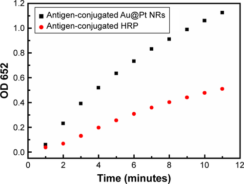 Figure S2 The absorbance evolution at 650 nm over time for TMB oxidation catalyzed by antigen-conjugated Au@Pt NRs and antigen-conjugated HRP.Note: Reaction conditions: 1 mM TMB, 50 mM H2O2, 10 minutes, 37°C, and 0.1 M, pH 5.Abbreviations: HRP, horseradish peroxidase; NR, nanorod; TMB, 3,3′,5,5′-tetramethylbenzidine.