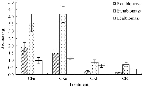 Figure 8. Biomass of the two plants in different treatments in the greenhouse. CKH and CKA represent the habitats in which H. scandens or A. philoxeroides lived alone, and CE represents the treatment which H. scandens shared with A. philoxeroides. The bars in the figure stand for the Std. Errors of the replications (n=9).