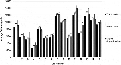 Figure 3. Comparison of adipocyte area calculation by method by cell. Results of analysing adipocyte size (μm2) by cell, in the order of cells measured are shown. Each data point in the bar chart represents the average of three repeated runs of for a measurement method. Measurements using the trace mode, hand trace, and ellipse approximation methods are shown in black, white, and grey bars, respectively. Error bars represent standard deviation of measurements for individual cells