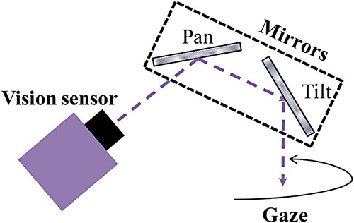 Figure 1. Dual saccade mirror system (Okumura et al., Citation2011).