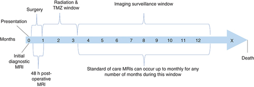 Figure 1. Tumor treatment timeline.The above figure demonstrates a representative timeline of events that a patient diagnosed with glioblastoma may undergo during their course of treatment.TMZ: Temozolomide.