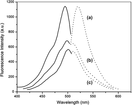 Figure 6. Fluorescence spectrums (solid lines are emission spectrum and dotted lines are excitation spectrum) of (a) FITC, (b) FMNPs, and (c) FMNPs-BSA.