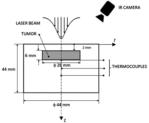 Figure 4. Sketch of the phantom with its associated dimensions, laser beam, thermocouples and IR camera.