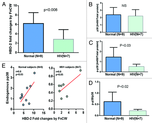 Figure 4. POECs from 9 normal and 7 HIV+O/H subjects were grown to semi-confluence (80%) and treated with FnCW (10 μg/ml) for 18 h, respectively. The levels of hBD-2 in media supernatant of FnCW treated and untreated POECs from HIV+O/H and normal subjects were measured by ELISA. Mean (± SD) fold changes in FnCW induced hBD-2 release for the two cohorts, i.e., HIV+O/H and HIV- subjects, were compared (A). Mean (± SD) values of total (B) and phophorylated p38 (p-p38) (C) levels in the cytoplasmic extracts of POECs from the same two cohorts of subjects were measured and compared. The ratios of p-p38 to total p38 were also compared (D). (E) The correlation between the levels of pp38 and the induction of hBD-2 by FnCW.