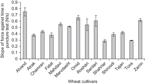 Figure 4 The slope of force against time curve in puncture test measured for the gels of the flours of different Iranian wheat cultivars.