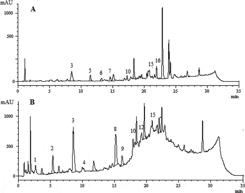 Figure 1. HPLC chromatograms of Ferula elaeochytris A: Methanol extract, B: Water extract.