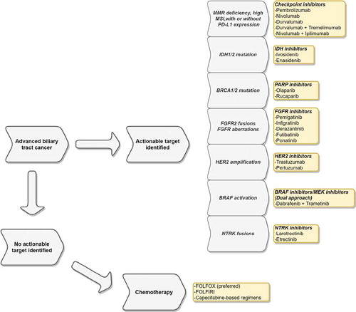 Figure 2. Approach to targeted therapies in cholangiocarcinoma after progression on 1st line treatment