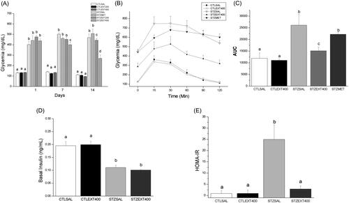 Figure 1. Effect of Bauhinia holophylla treatment on glycaemia, glucose tolerance and insulin sensitivity. (A) Average glycaemia during the treatment period. (B) Average glycaemia values during the intraperitoneal glucose tolerance test (ipGTT). (C) Areas under the curves (AUC) values obtained from ipGTT experiment. (D) Average insulinaemia at the end of the treatment period and (E) HOMA-IR index of the groups. Bauhinia holophylla treatment significantly decreased glycaemia and HOMA-IR index. Basal insulin values were not changed, suggesting an extra-pancreatic action of the extract. Different letters indicate significant differences (ANOVA followed by Tukeyʼs post-test, n = 8, p < 0.05).