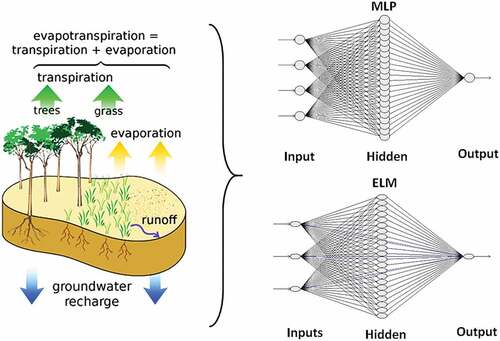 Figure 2. Conceptual diagram showing the structure of the study modified from (Toews Citation2007) and a typical framework for feed-forward neural network with the multi-layer perceptron (FFN-MLP) and extreme learning machine (FFN-ELM) models.