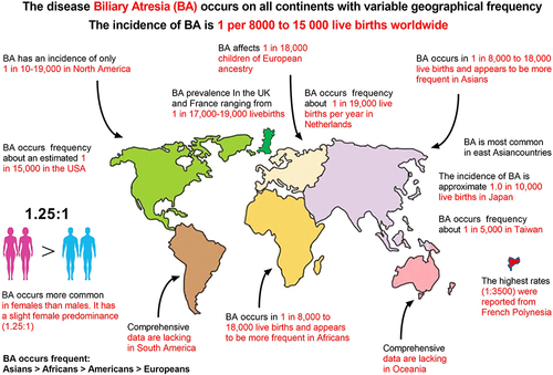 Figure 1 Epidemiology of biliary atresia (BA) worldwide (words in red for emphasis).