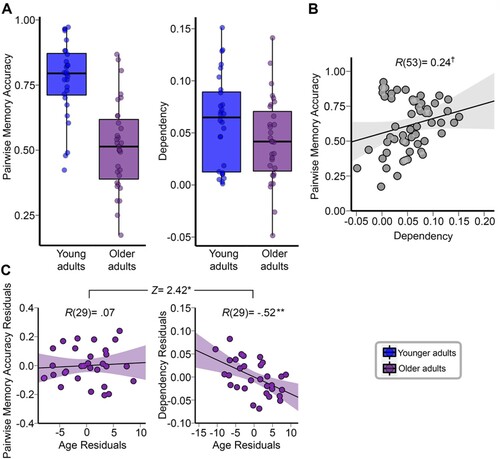 Figure 3. The distribution of pairwise relational binding performance and retrieval dependency separated by young and older adults (a). A scatterplot of a bivariate correlation between pairwise relational binding accuracy and dependency (b). Scatterplots depicting the relation between age and pairwise relational binding accuracy residuals after controlling for dependency, MMSE, and AMNART (c, Left), and the relation between age and dependency residuals after controlling for pairwise relational binding accuracy, MMSE, and AMNART (c, Right) among older adults. Significance notation: †p < .08, **p < .01.