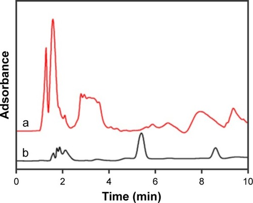 Figure 6 Chromatograms of the human prostate cancer LNCaP cell spiked with TSTO at the concentration of 5.0 ng mL−1 (a) and elution of absorbed Fe3O4@TSTO-MIPs (b).Abbreviations: MIPs, molecularly imprinted polymers; TSTO, testosterone.