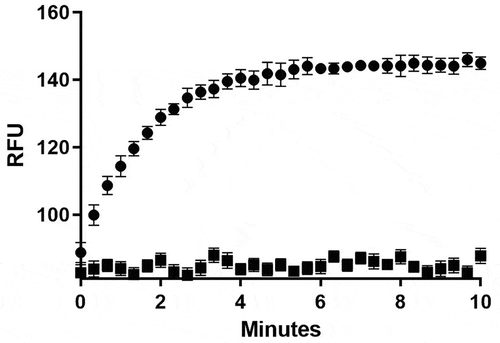 Figure 2. MERS-CoV helicase unwinding activity measured by detecting the relative change in fluorescence units (RFU) of the separated fluorescein-labelled ssRNA (excitation 495 nm, emission 520 nm) in the presence of no enzyme (■) or 50 nM MERS-CoV helicase (●)