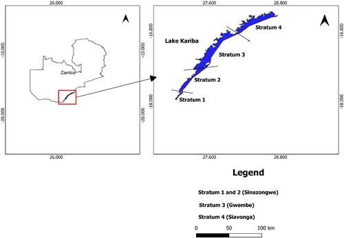 Figure 1. Shows the four strata of Lake Kariba, Zambia.
