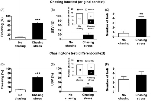 Figure 4. Defensive responses during the chasing tone tests. (A, D) Amount of freezing during the chasing tone in the donut maze and in a different context. (B, E) Amount of ultrasonic vocalization (USV) during the chasing tone in the donut maze and in a different context. (C, F) Number of fecal boli collected from the donut maze and from a different context. *: p < .05; **: p < .01; ***: p < .001.