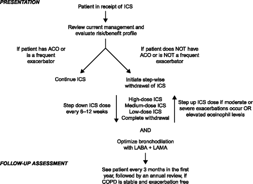 Figure 1. A proposed algorithm for ICS withdrawal adapted from Kaplan A, et al. (Citation46). ACO, asthma-COPD overlap; COPD, chronic obstructive pulmonary disease; ICS, inhaled corticosteroids; LABA, long-acting β2-agonist; LAMA, long-acting muscarinic antagonist.