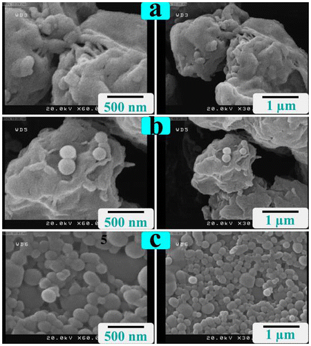 Figure 3. FE-SEM micrographs of (a) R-PET before sonication, (b) R-PET after sonication in ethanol, and (c) R-PET after sonication in DMAc.